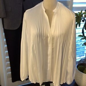 Lovely pleated Blouse